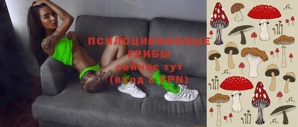 спайс Алексин