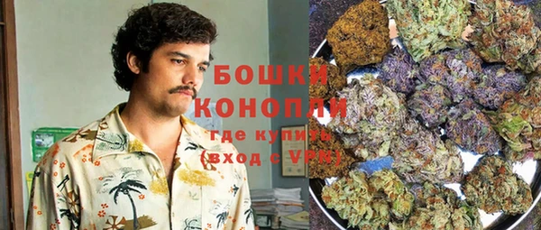 индика Арсеньев