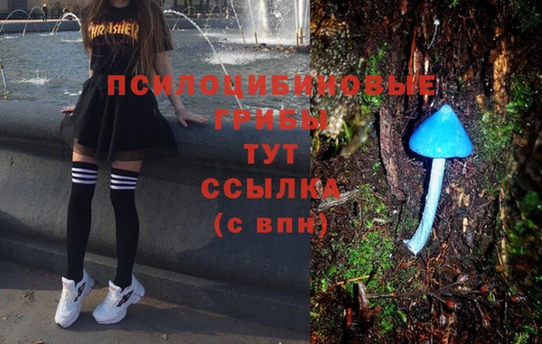дживик Алексеевка