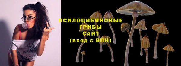 спайс Алексин