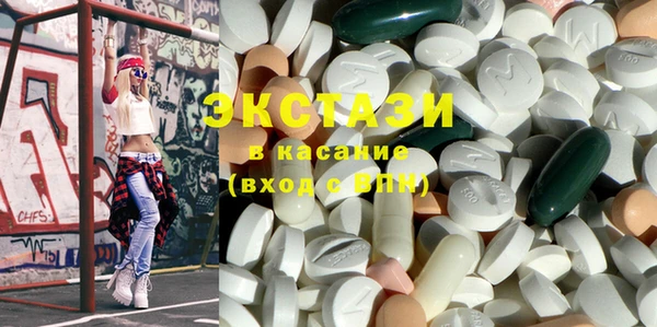 индика Арсеньев