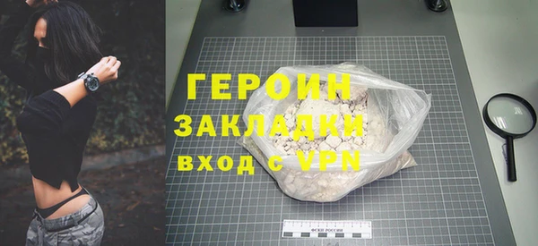 индика Арсеньев