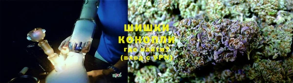 индика Арсеньев