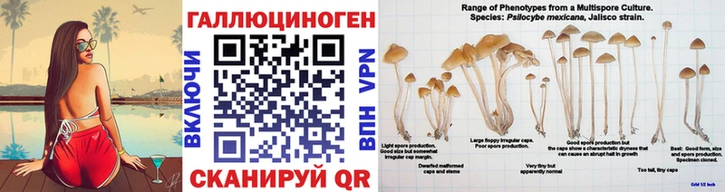 Галлюциногенные грибы Psilocybe  кракен вход  Усмань  закладки 